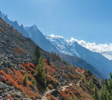 vue montagne en automne 
